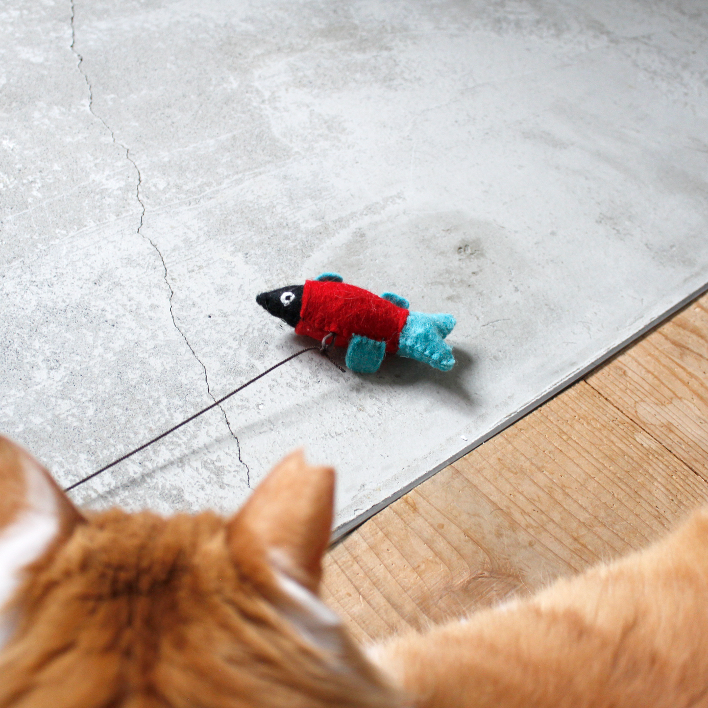 Felt Animals Cat Teaser