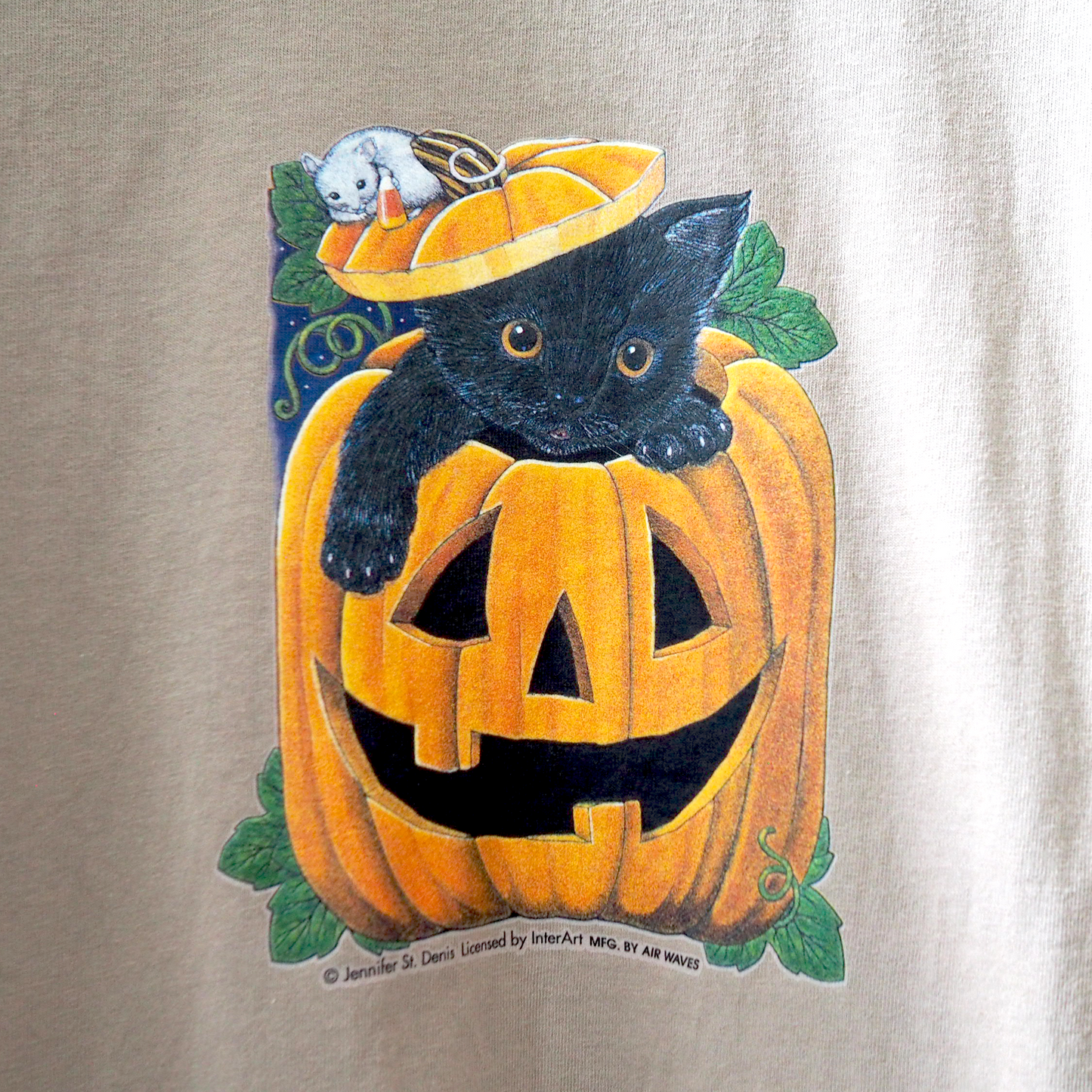 Black Cat in a Pumpkin Tee / 90s / Made in USA