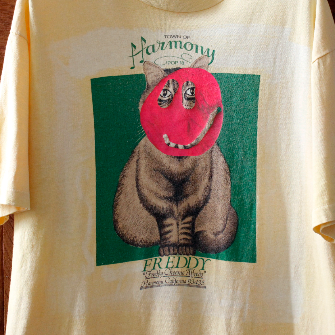 Town of Harmony Freddy Tee / 90s / Made in USA