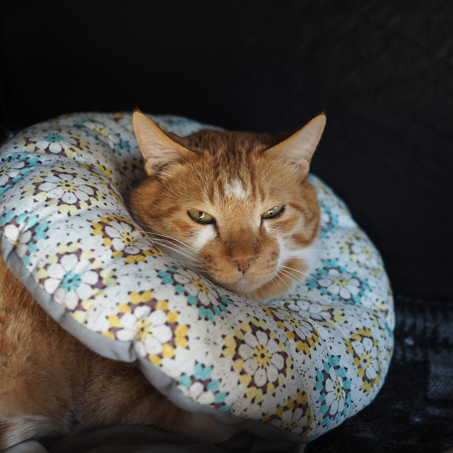 春巻エリカラステッカー