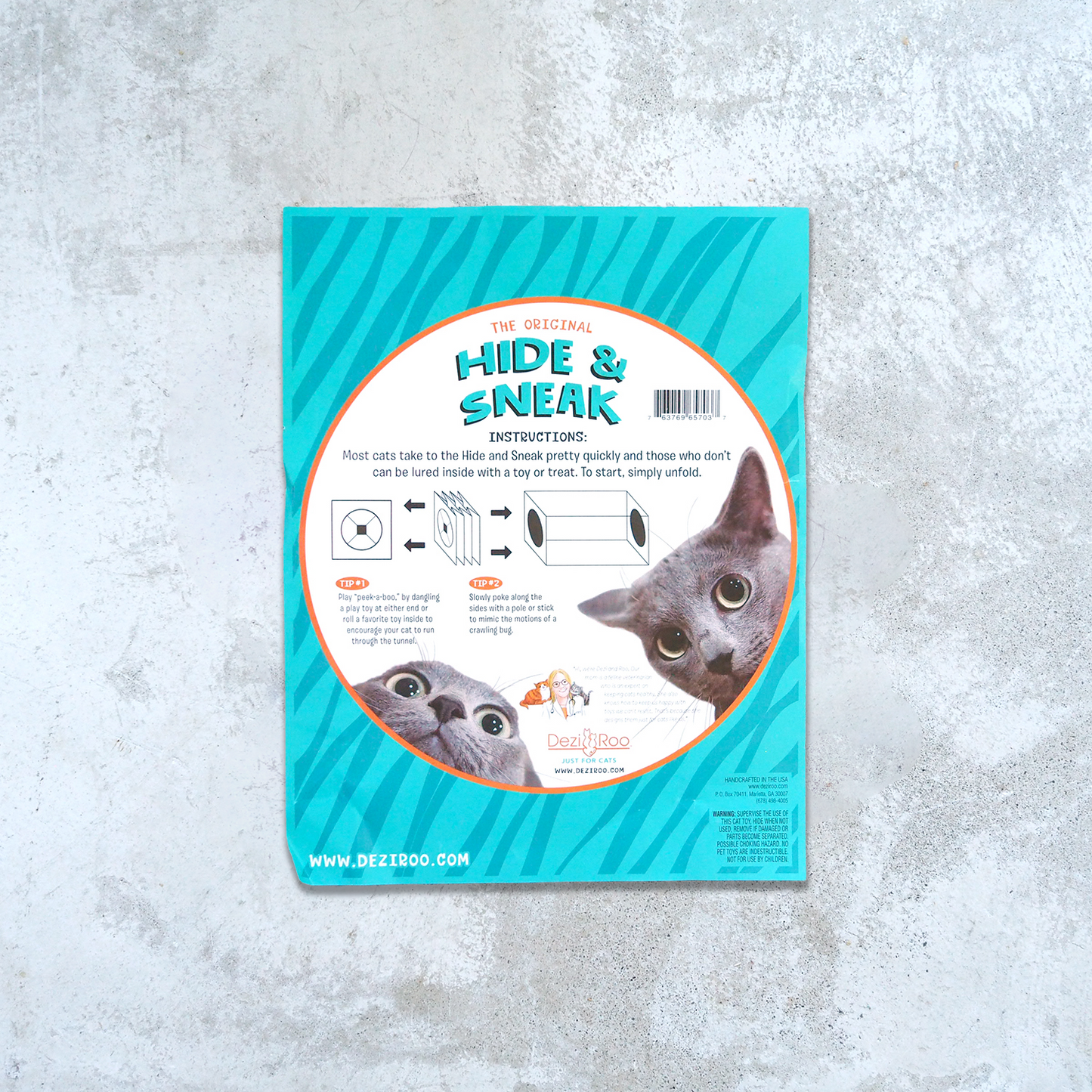 Hide and Sneak