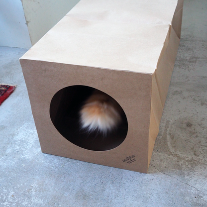 Hide and Sneak