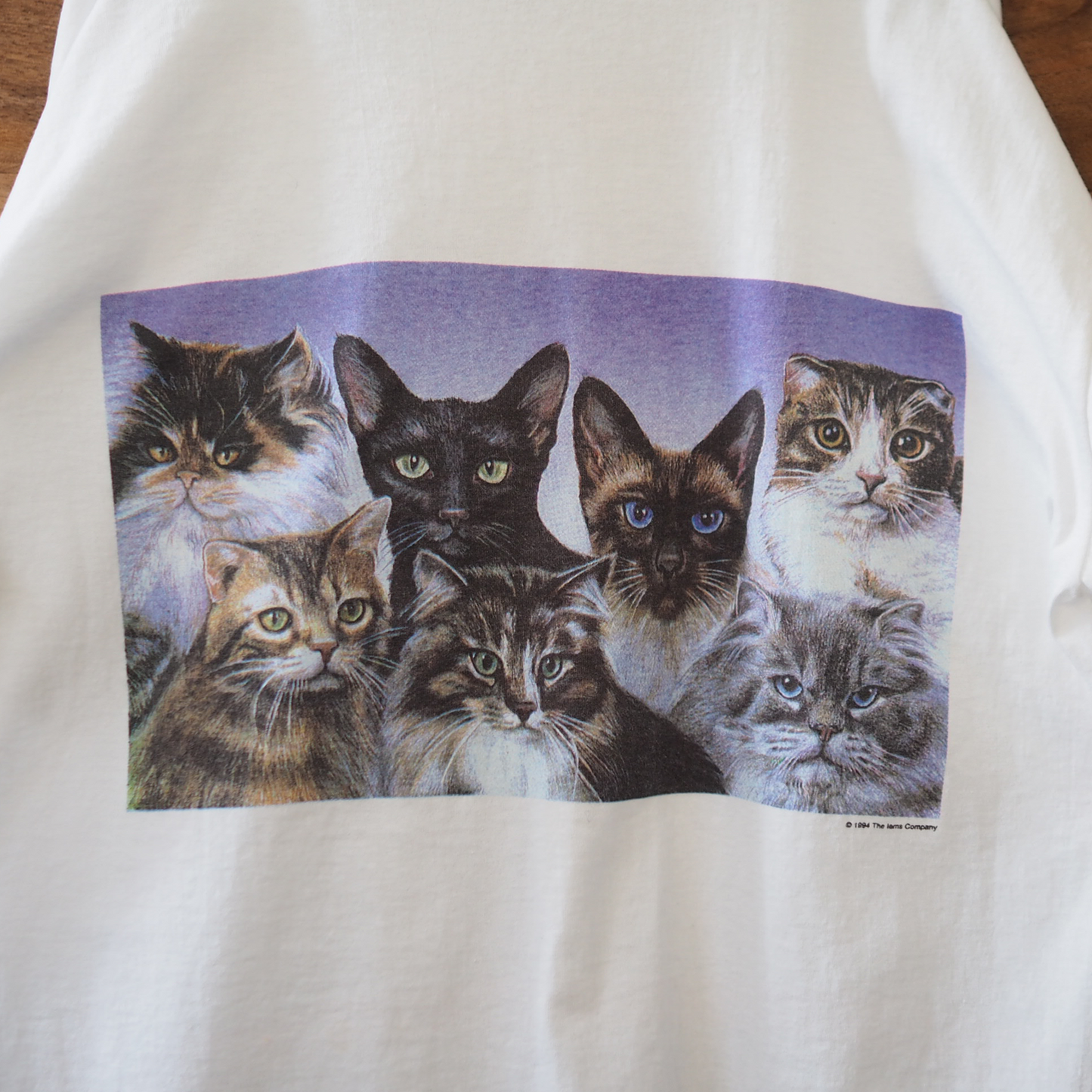 IAMS 7 Cats Tee / 90s / Made in USA