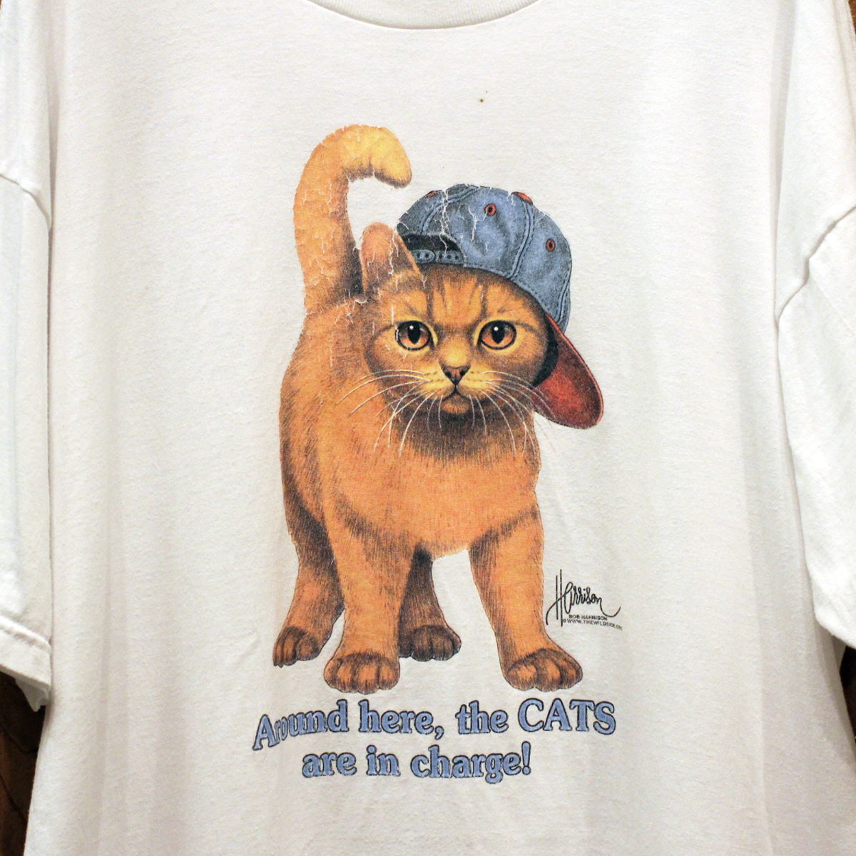 Bob Harrison the Cats are in Charge Tee / 90s