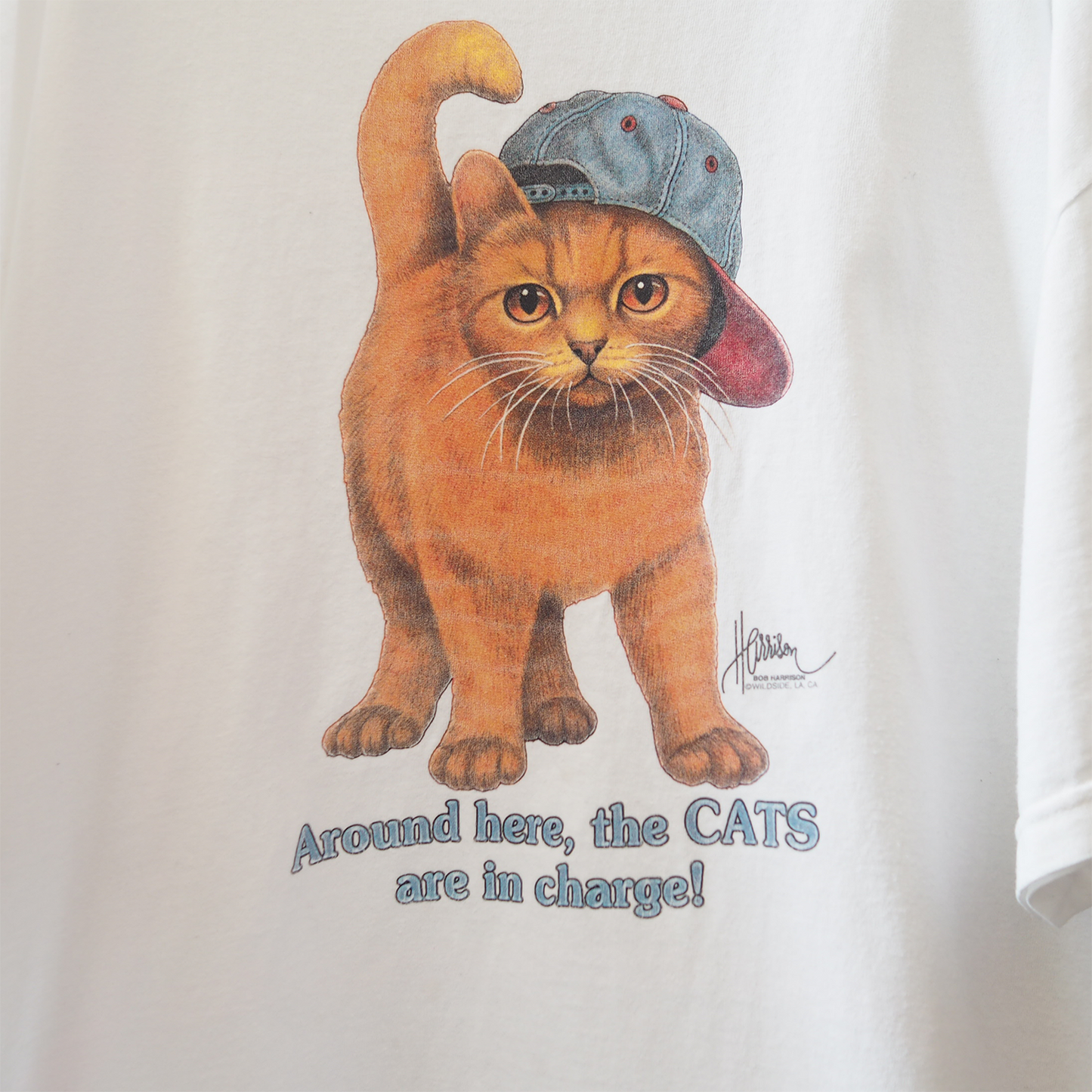 Bob Harrison the Cats are in Charge Tee / 90s / Made in USA