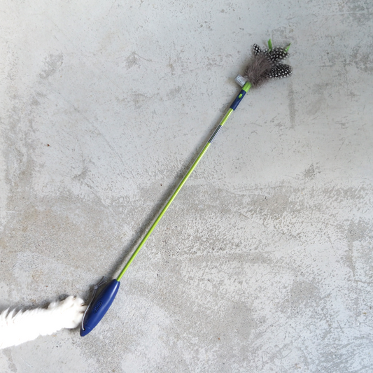 JOYSER Feather Wand