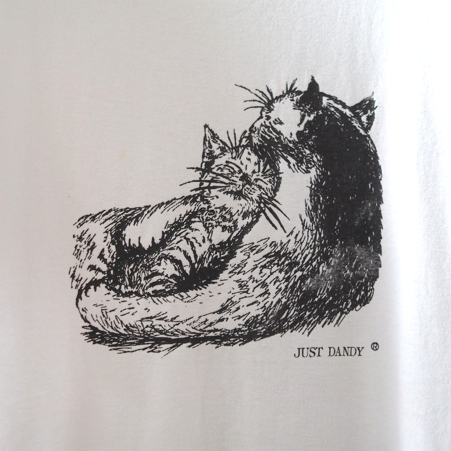 Just Dandy Tee / 90s / Made in USA