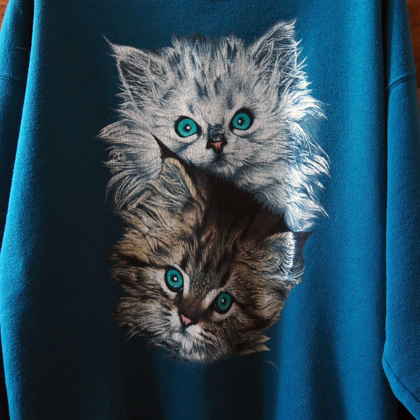 Kitten Brothers Portrait Sweat / 90s / Made in USA