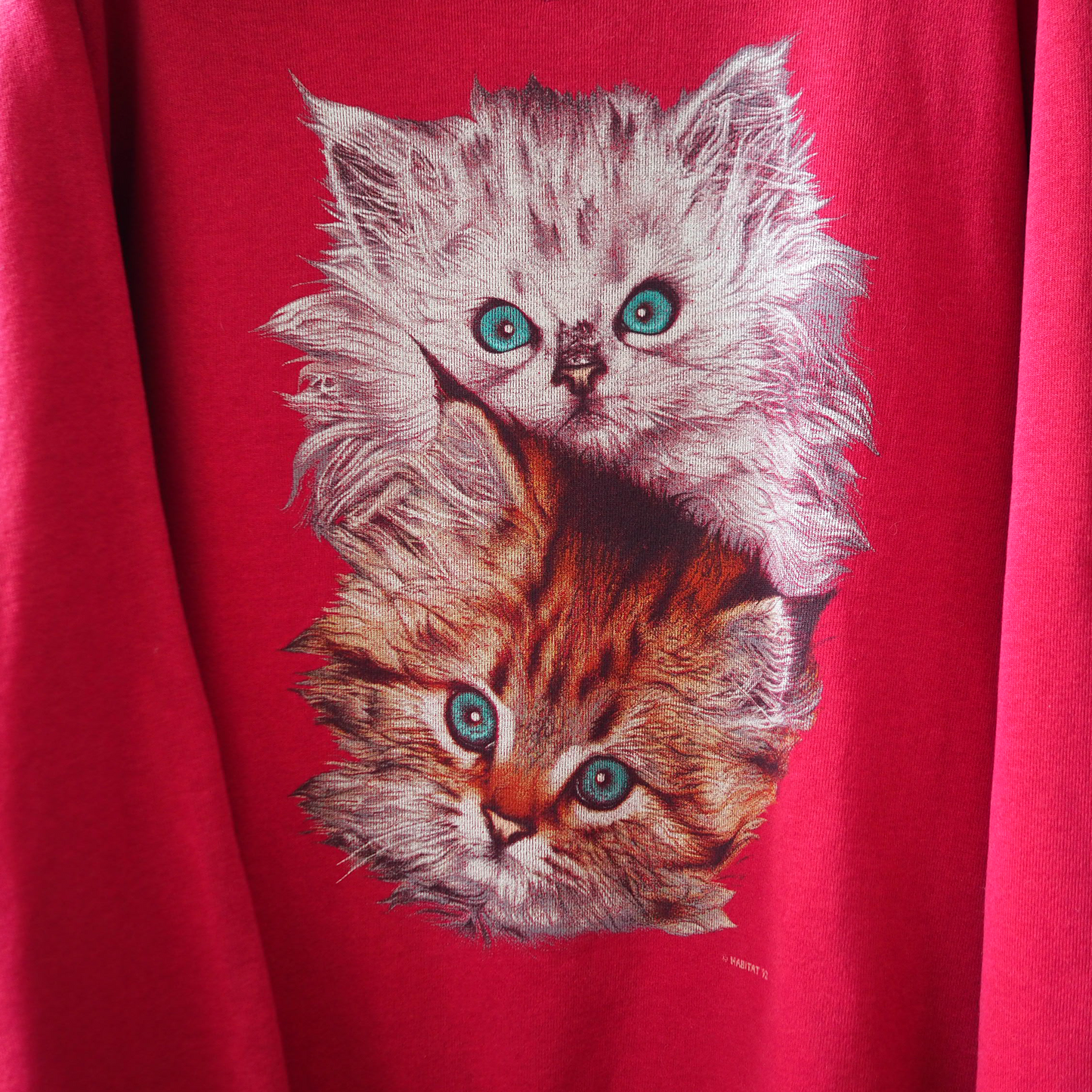 Kitten Brothers Portrait Sweat / 90s / Made in USA