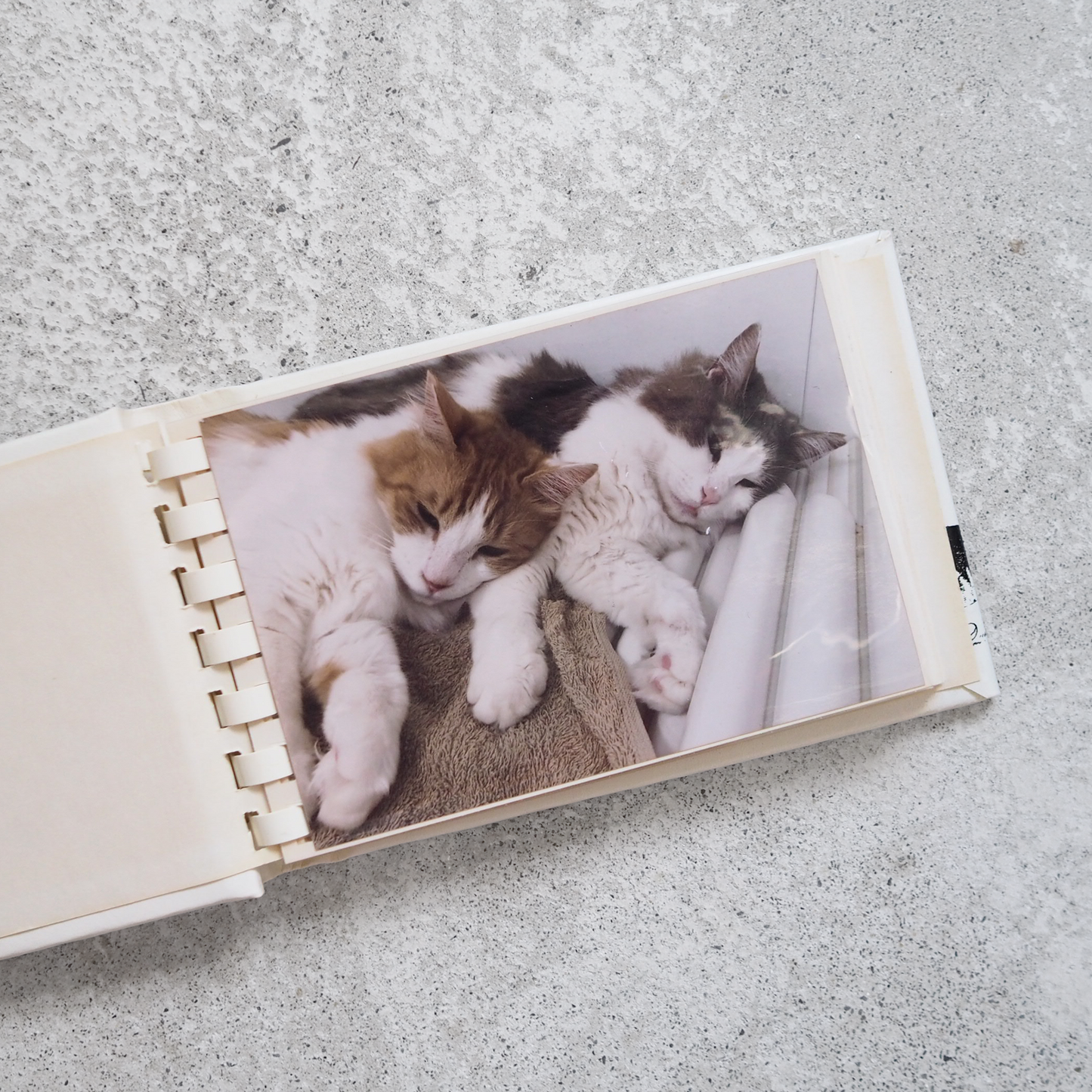 Kliban Cat Photo Album / 70s〜80s