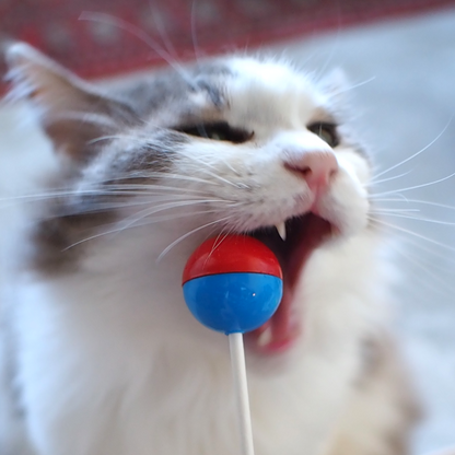 Pop ‘n Purr Lollipop