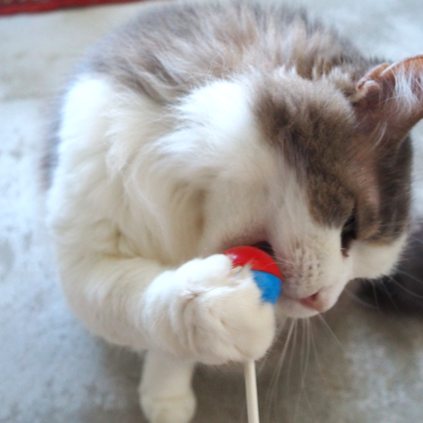 Pop ‘n Purr Lollipop