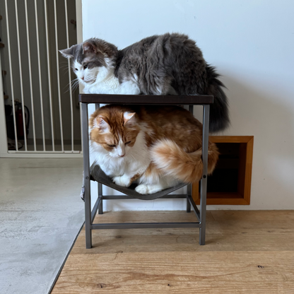 HAMMOCK TABLE LOW ※ 展示現品