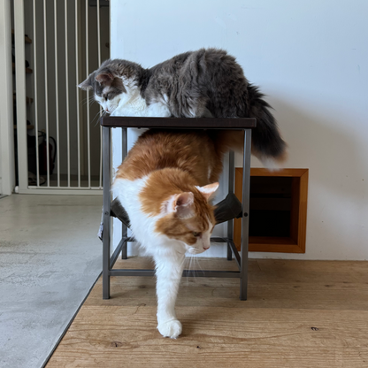 HAMMOCK TABLE LOW ※ 展示現品