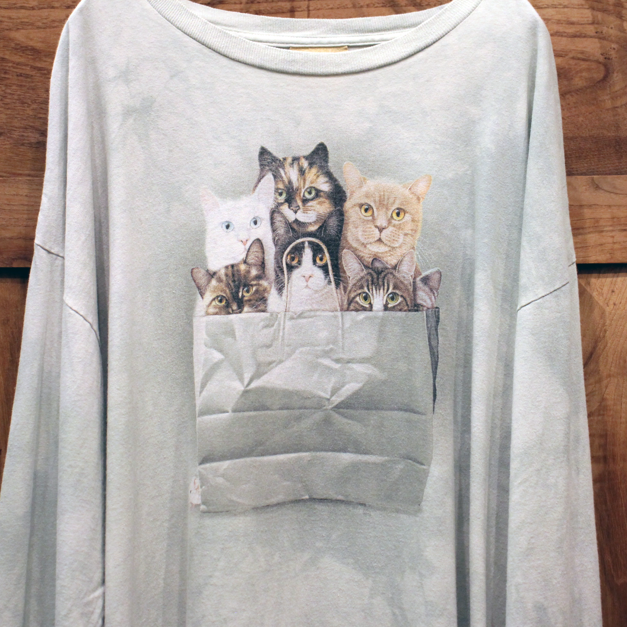 The Mountain Cats in the Bag Long-Sleeve Tee / 00s-
