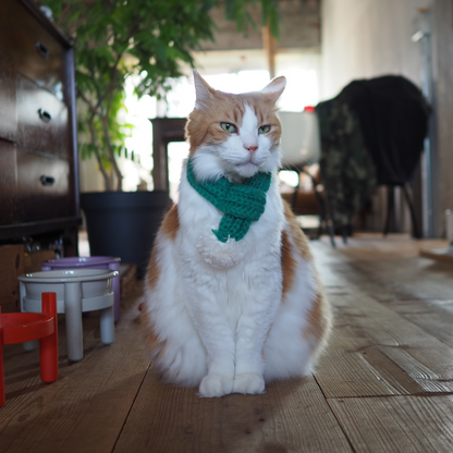 ニットマフラー '25（ネコ用）
