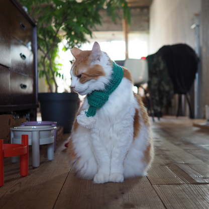 ニットマフラー '25（ネコ用）
