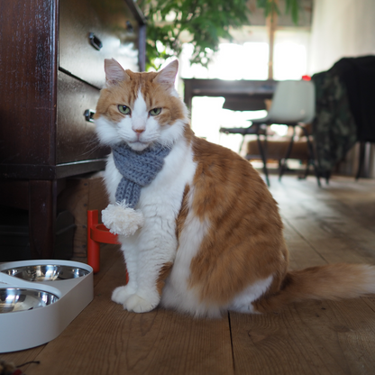 ニットマフラー '25（ネコ用）