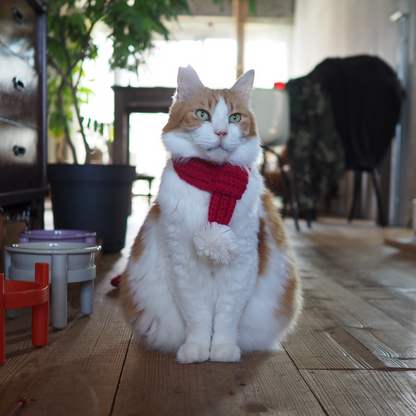 ニットマフラー '25（ネコ用）