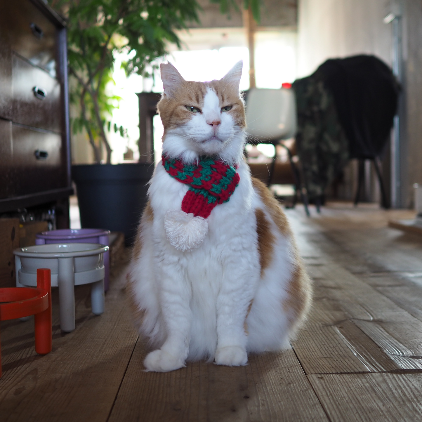 ニットマフラー '25（ネコ用）