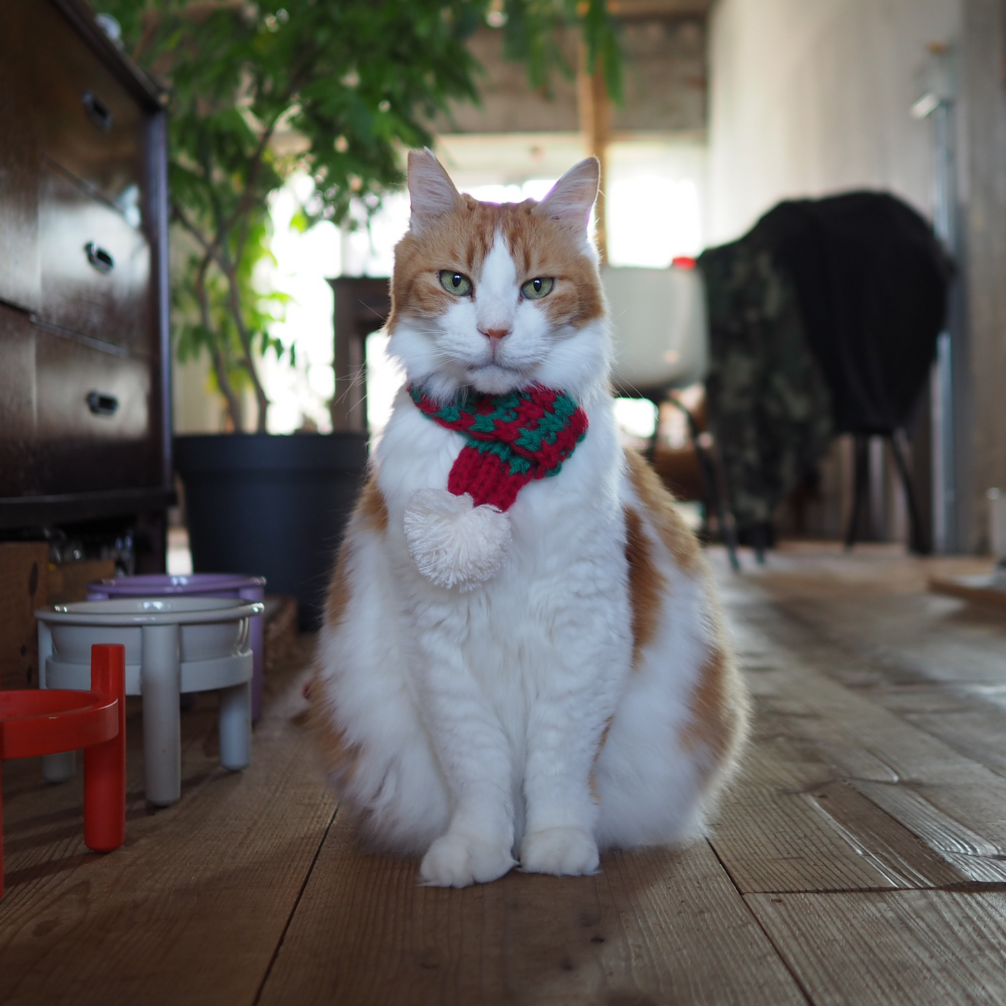 ニットマフラー '25（ネコ用）