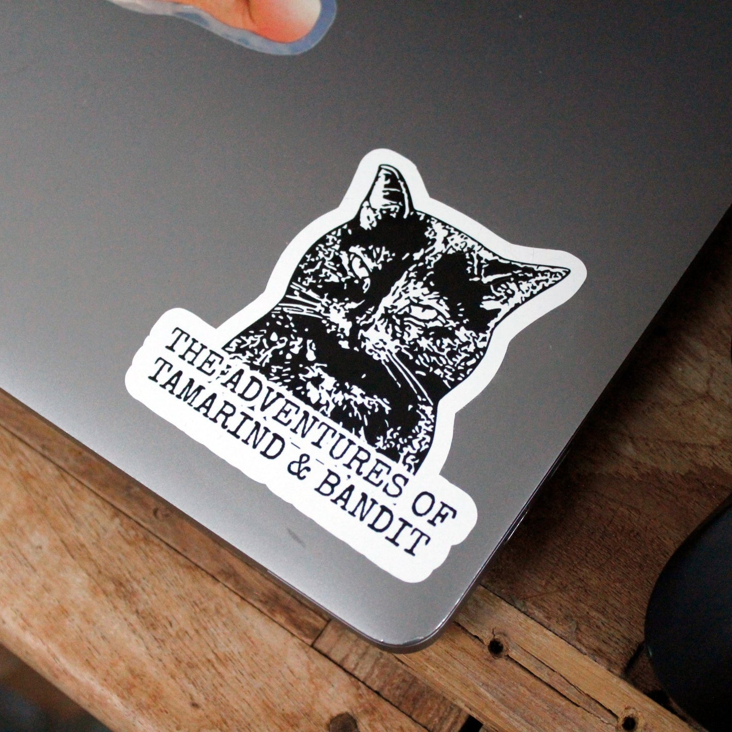 The Adventures of Tamarind and Bandit (8 × 12 inch Print)