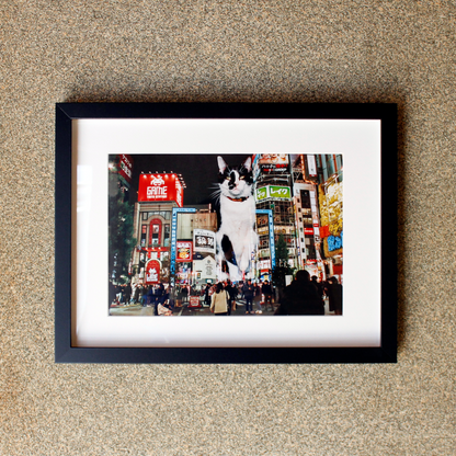 The Adventures of Tamarind and Bandit (8 × 12 inch Print)