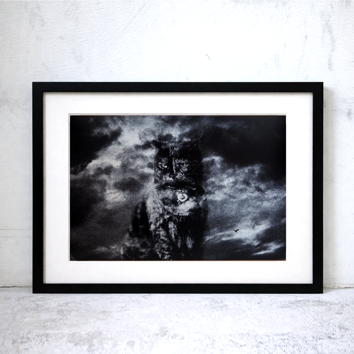 The Adventures of Tamarind and Bandit (8 × 12 inch Print)