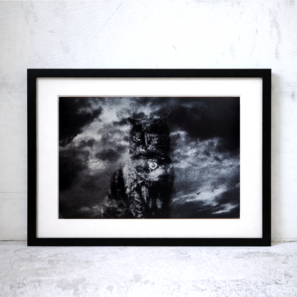 The Adventures of Tamarind and Bandit (8 × 12 inch Print)