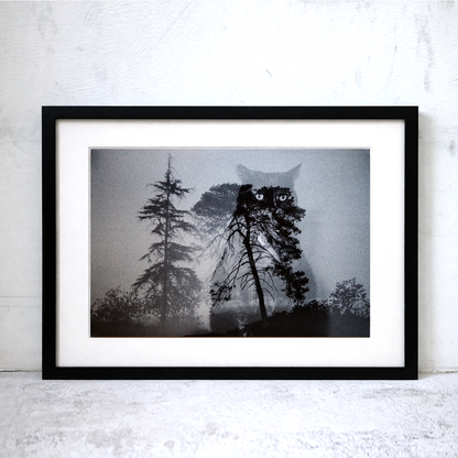 The Adventures of Tamarind and Bandit (8 × 12 inch Print)