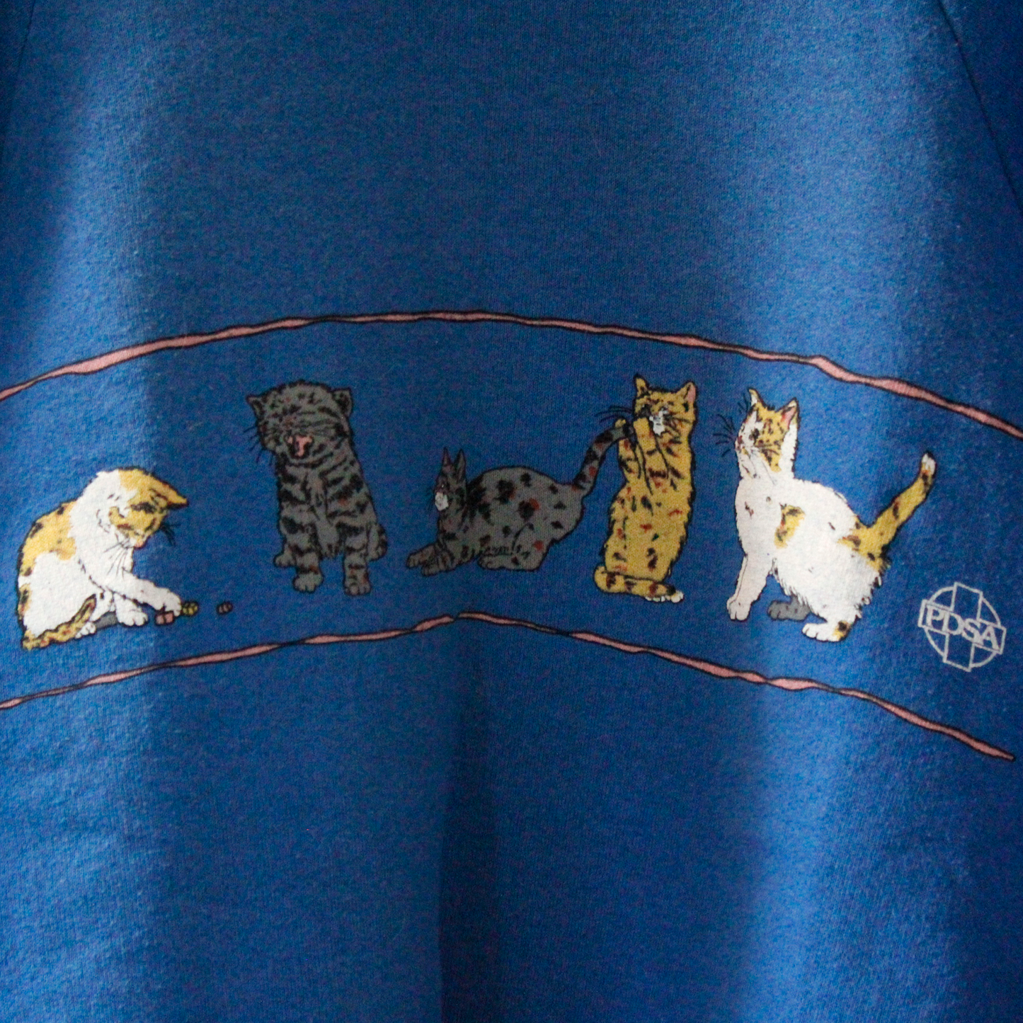 PDSA Sweat / 90s / Made in USA