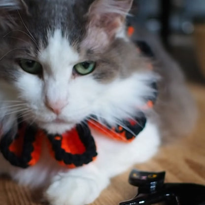 Halloween Paracord & Knit Collar🎃