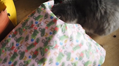 Wrapping Paper Toy '25 Xmas / ラッピングサービス