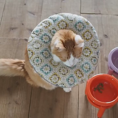Cat Lures