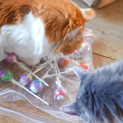 Pop ‘n Purr Lollipop