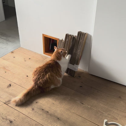 Cardboard Scratch Cutter