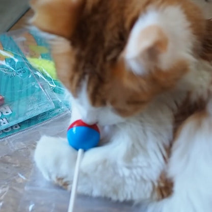 Pop ‘n Purr Lollipop