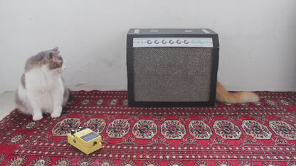 【生産終了】Amp Scratching Box / Noir