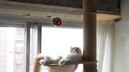 CRINKLE BALL Screw it Anywhere
