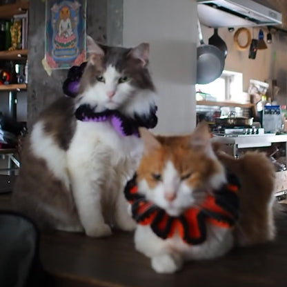 Halloween Paracord & Knit Collar🎃