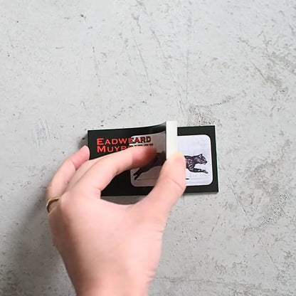 Muybridge Cat Flipbook (2014)
