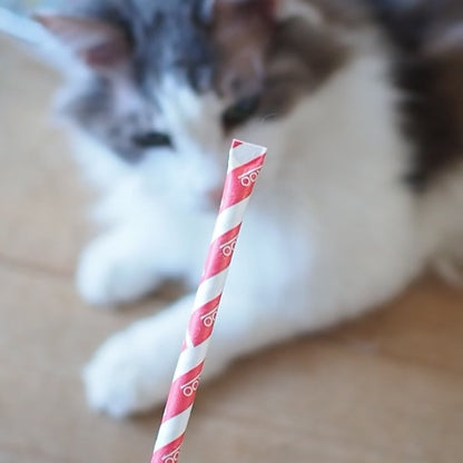 Silly Stix