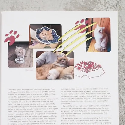 Catnip Magazine Vol.2