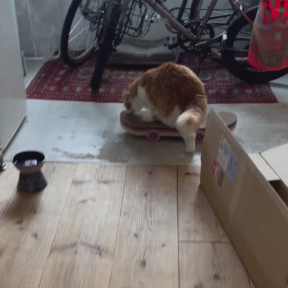 Cat Scratch Skateboard Scratcher