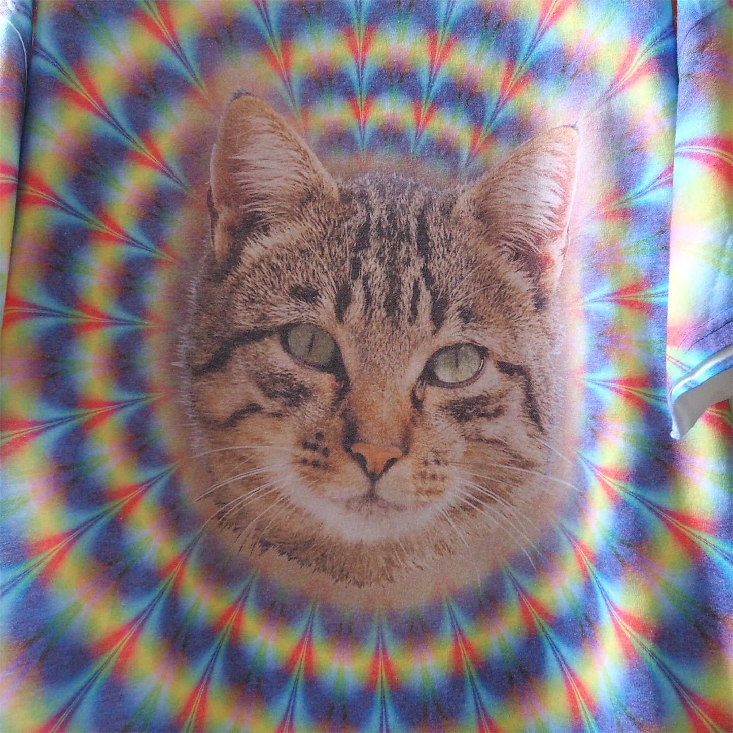 Psychedelic Tabby Tee / 2010s-