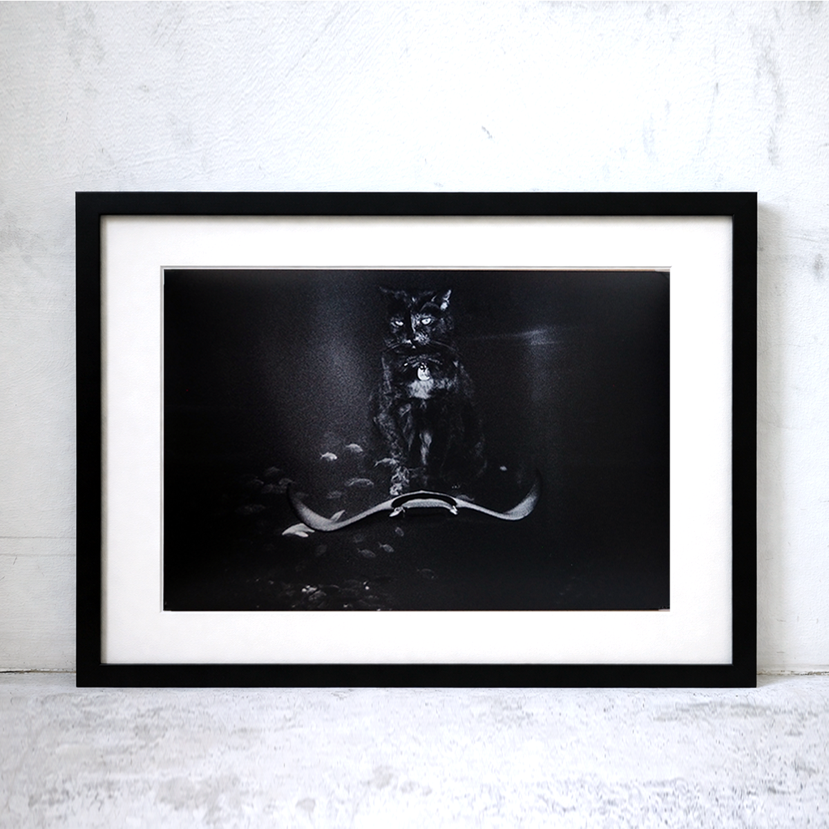 The Adventures of Tamarind and Bandit (8 × 12 inch Print)