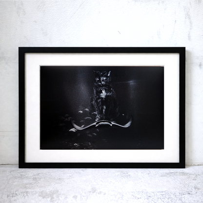 The Adventures of Tamarind and Bandit (8 × 12 inch Print)