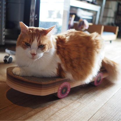 Cat Scratch Skateboard Scratcher
