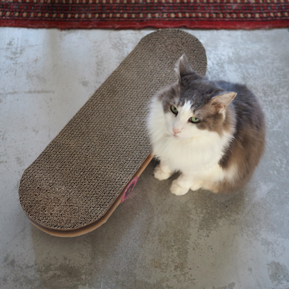 Cat Scratch Skateboard Scratcher