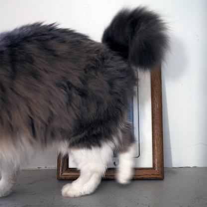 SMOKY MOUNTAIN CATS Art Frame / 90s / Made in USA